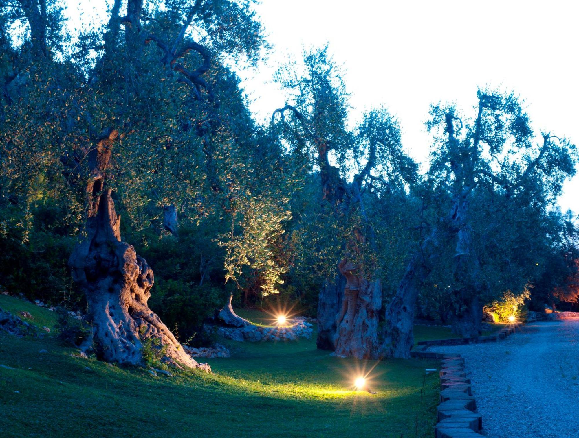 Masseria La Chiusa Delle More Peschici Extérieur photo